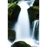 A Pretty Creek: Creeks, Streams and Waterways in General Are Known as Surface Hydrology and Are a Core Element of Environmental Geography.