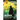 Rorkh Book 5: A LitRPG Series