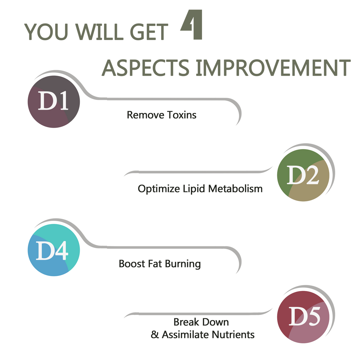 Digestive Conditioning Set by A Quality Life Nutrition