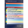 Engagement and Disengagement at Work: Drivers and Organizational Practices to Sustain Employee Passion and Performance