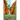 The Canyon