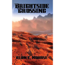 Brightside Crossing: A Positronic Book