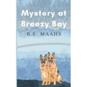 Mystery at Breezy Bay
