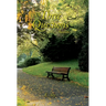 Three Questions: Stories