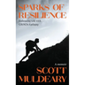 Sparks of Resilience