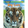 Big Cats