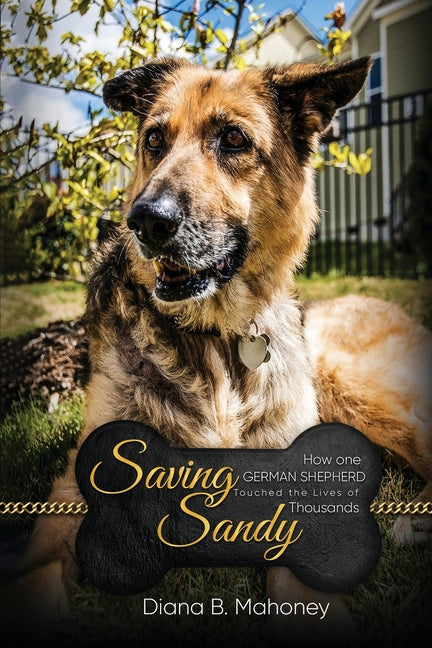 Saving Sandy - Paperback by Books by splitShops