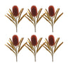 Burnt Orange Banksia Floral Stem (Set of 6)