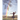 Experiencing Joy