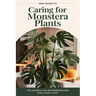 A mini-guide to caring for the Monstera plant