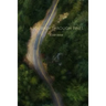 A Journey Through Pines