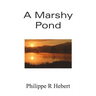 A Marshy Pond