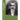 James Jefferson Key, CSA