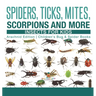 Spiders, Ticks, Mites, Scorpions and More Insects for Kids - Arachnid Edition Children's Bug & Spider Books