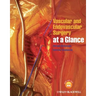 Vascular and Endovascular Surgery at a Glance