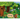 Exploring the Fascinating World of the Forest