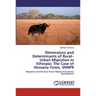 Dimensions and Determinants of Rural-Urban Migration in Ethiopia: The Case of Hossana Town, SNNPR