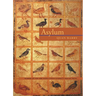 Asylum