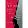 Battle for Sovereign Grace in the Covenant: The Declaration of Principles