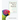 Untrain Your Parrot: And Other No-nonsense Instructions on the Path of Zen