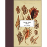 Vintage Prints: Shells