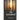 The Illuminant: Poems