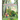 Harvey's Dinosaur Adventures: A Children's Book on Harvey's Adventures Into a Secret World of Dinosaurs
