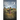 Obelisk