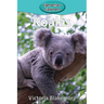 Koalas