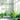 Toward A Greener Vitality: How Live Plants Affect Human Health, Clear Indoor Stress and Reanimate Your Cellular Energy