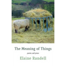 The Meaning of Things