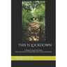 This Is Lockdown: COVID19 Flash Fiction plus the isolation writers, poets and creatives