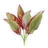 Variegated Foliage Plant (Set of 6)