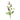 Buddleia Floral Stem (Set of 6)