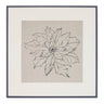 Framed Poinsettia Print Under Glass 20"SQ