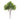 Boxwood Foliage Bush (Set of 6)