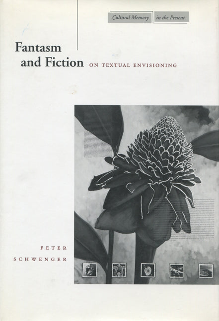 Fantasm and Fiction: On Textual Envisioning - Paperback by Books by splitShops