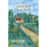 A Little One Shall Lead: Small Congregations Create New Ways of Being Church