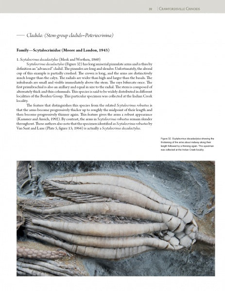 Collector's Guide to Crawfordsville Crinoids by Schiffer Publishing