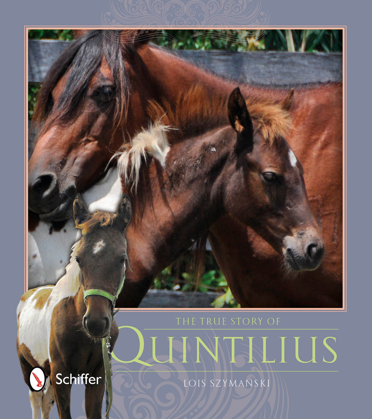 The True Story of Quintilius by Schiffer Publishing