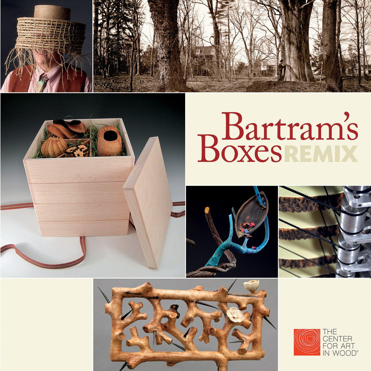 Bartram's Boxes Remix by Schiffer Publishing