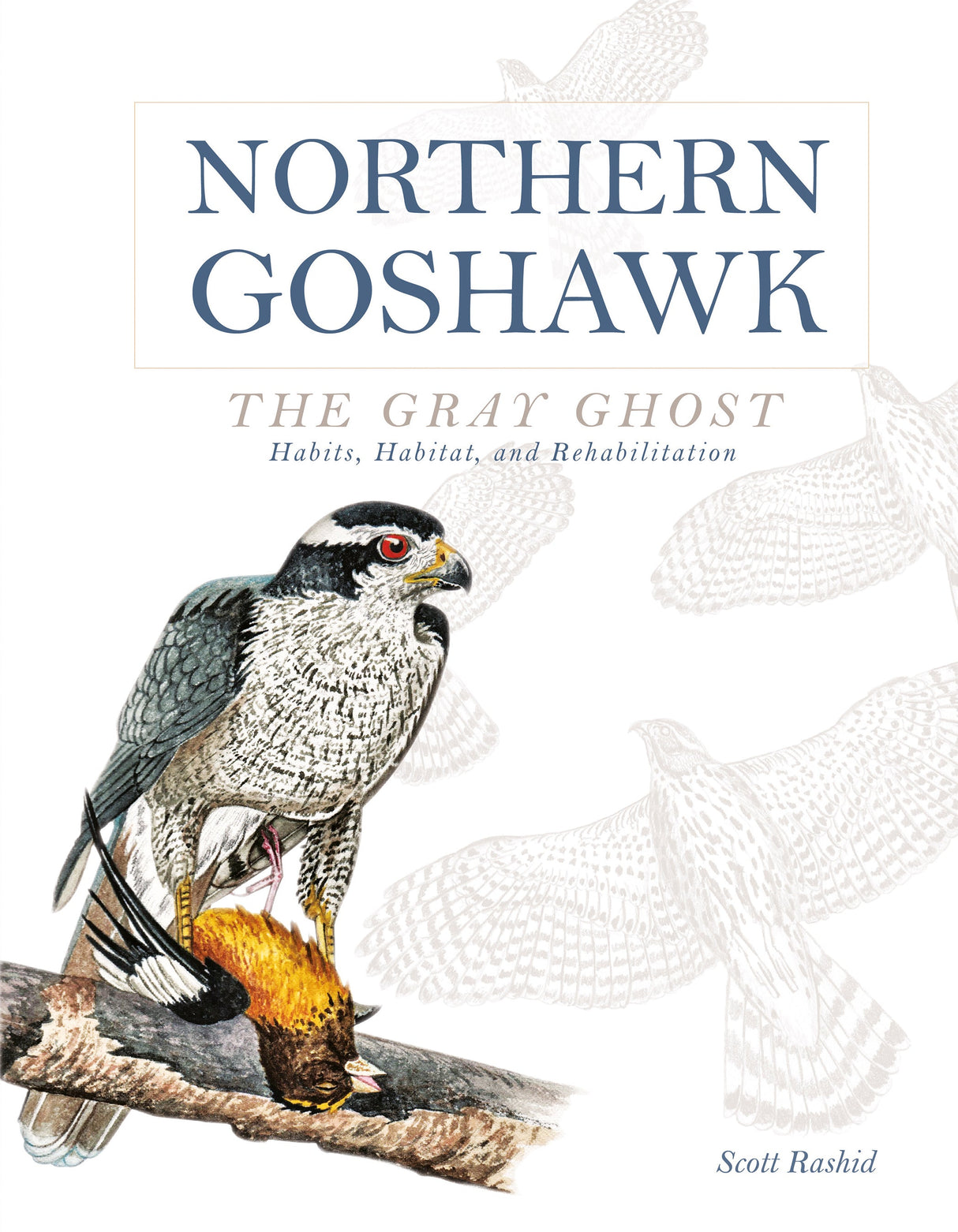 Northern Goshawk, the Gray Ghost by Schiffer Publishing