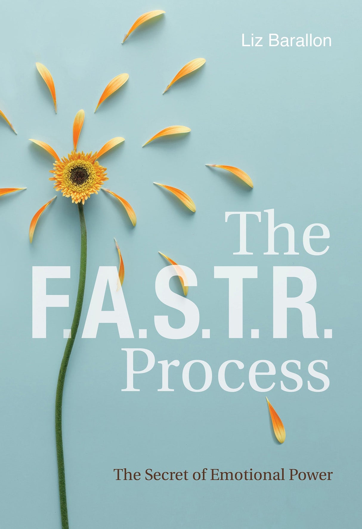 The F.A.S.T.R. Process by Schiffer Publishing