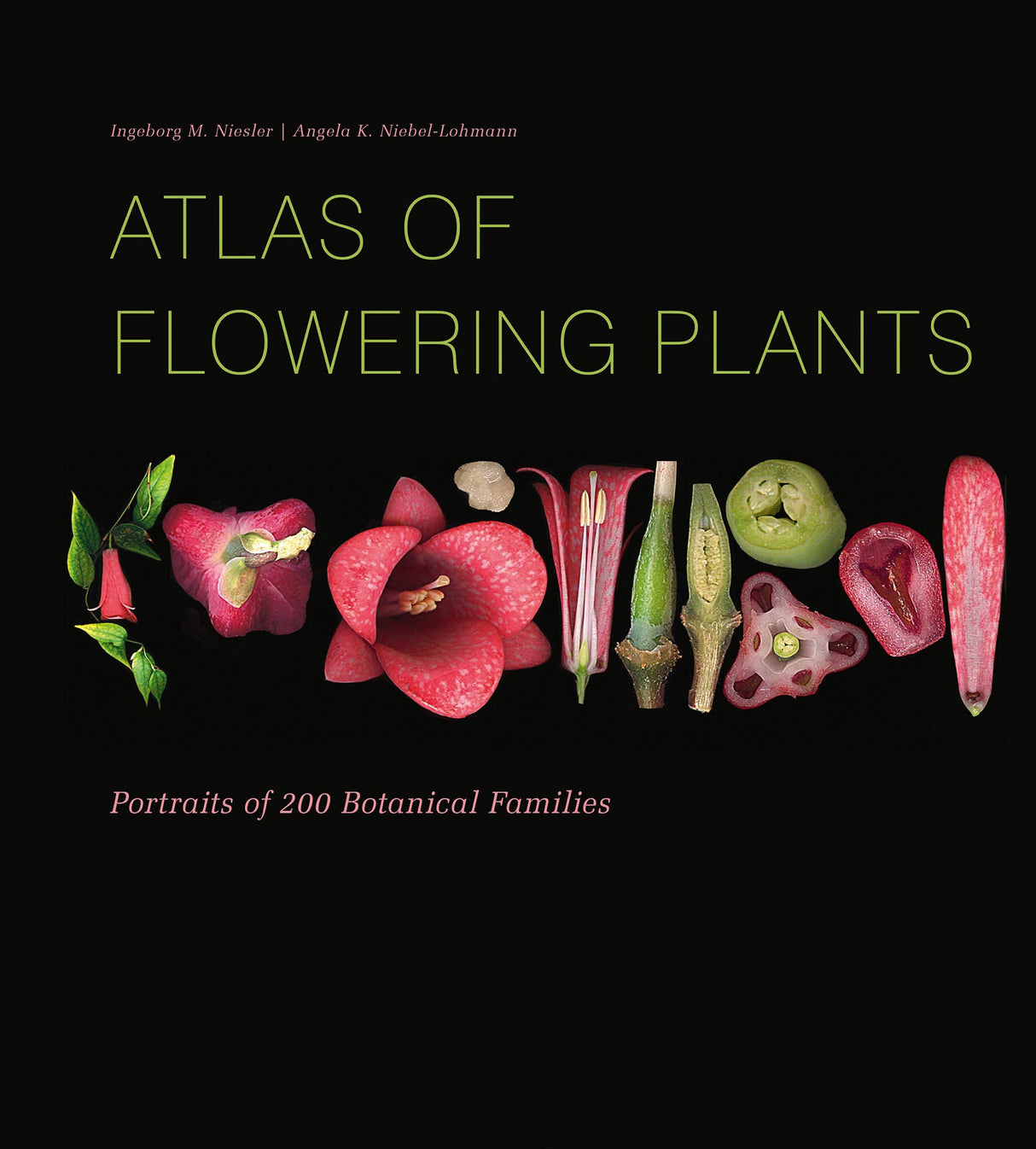 Atlas of Flowering Plants by Schiffer Publishing