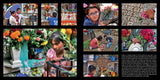 San Miguel de Allende by Schiffer Publishing