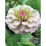 Mostly Zinnias: Flower Photos Pre and Post Hurricane Ida