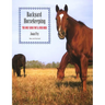 Backyard Horsekeeping