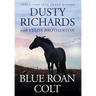 Blue Roan Colt