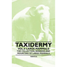 Taxidermy Vol.6 Large Mammals - The Collection, Skinning and Mounting of Large Mammals