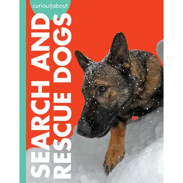 Curious about Search and Rescue Dogs